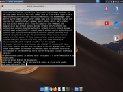 Xfce 40 dias sem atualizar